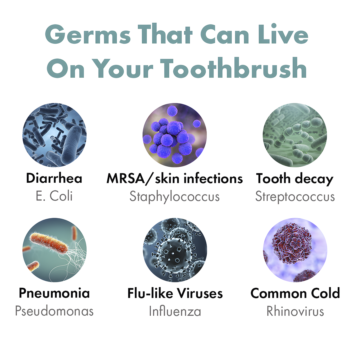 Germs 02