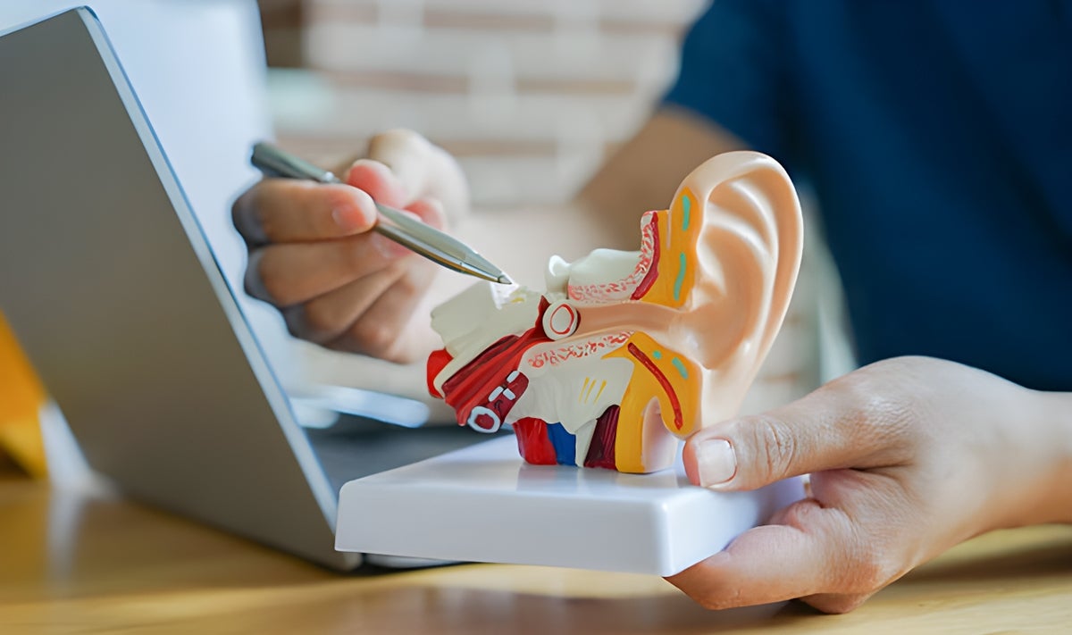 Ear Model