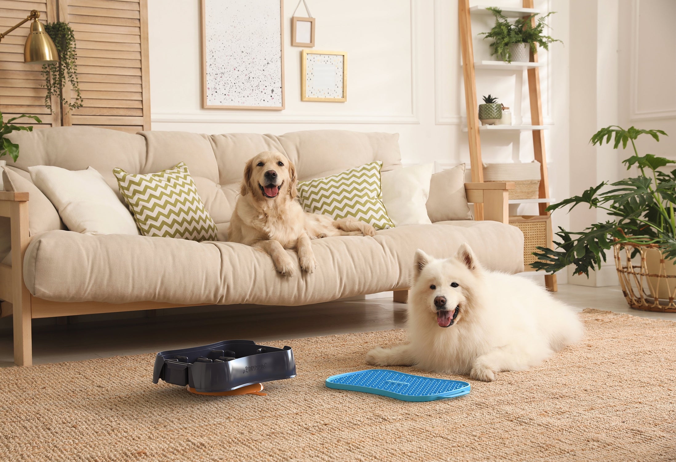 Dog Models