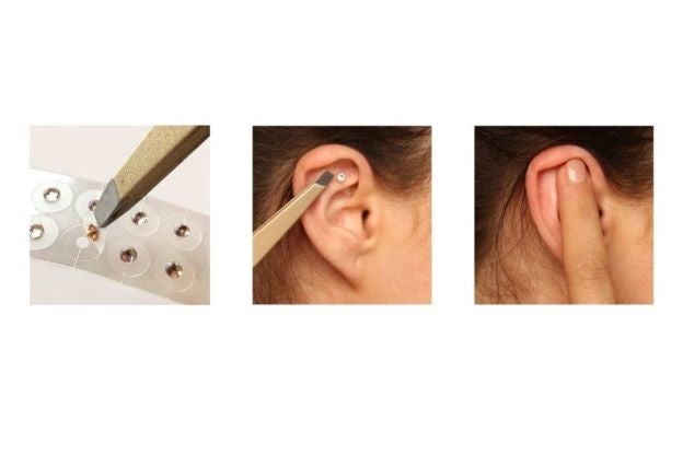 Earseeds Gallery 3