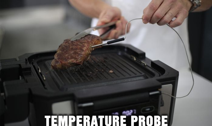 Temperature probe